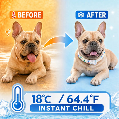 Reusable Cooling Collar for Dogs – Comfortable Summer Cooling Neck Wrap