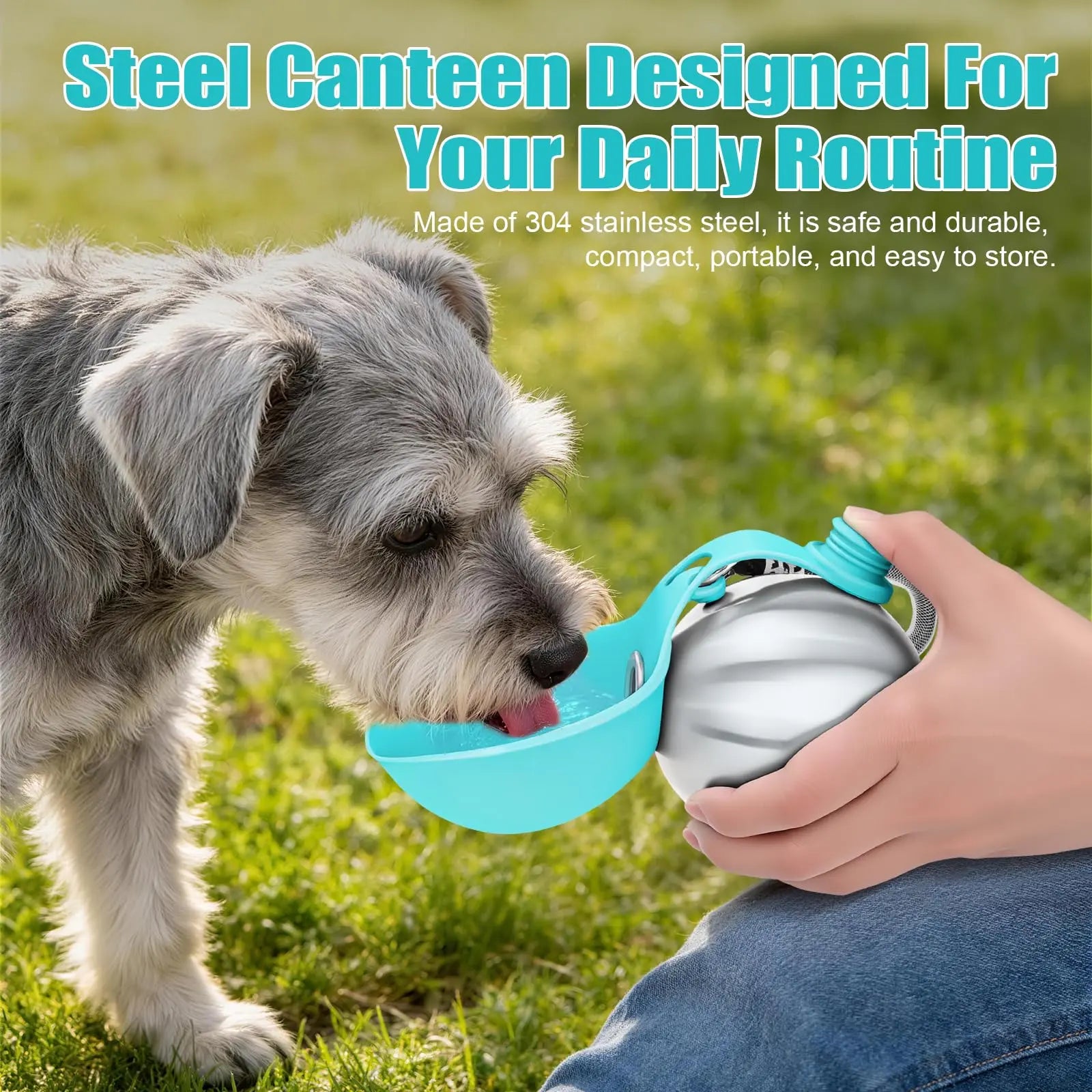 Lumikata 2-In-1 Portable Dog Water Bottle & Foldable Bowl - Leak-Proof Stainless Steel for Small Dogs - Ideal for Walks & Feedings!